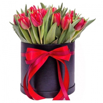 Букет из 51 красного тюльпана в коробке