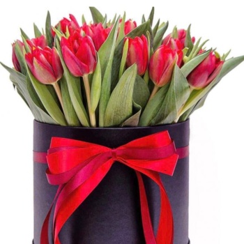 Букет из 51 красного тюльпана в коробке